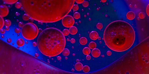 red light therapy light therapy lab solana beach