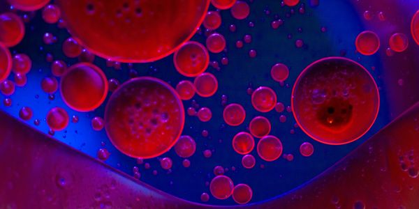 red light therapy light therapy lab solana beach