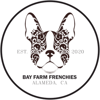Bay Farm Frenchies