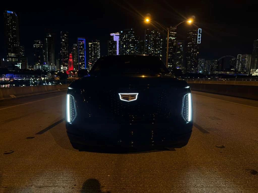 Professional Chauffeur Service