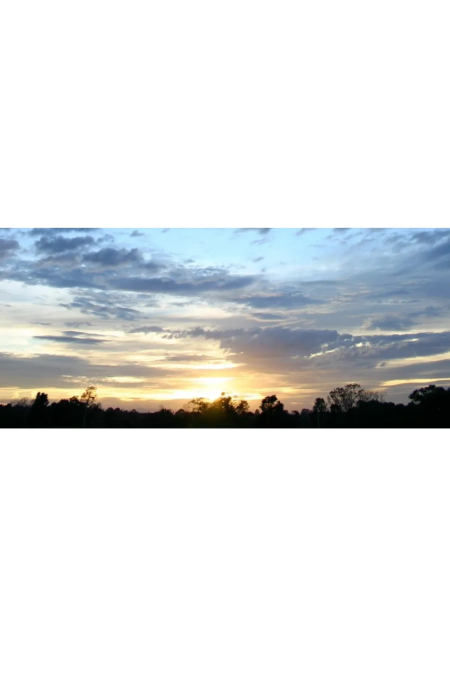 Aggieland RV Park RV park in Bryan, TX (photo 4)