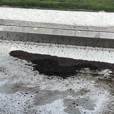 Bat Guano on Roof in Bonita Springs, FL