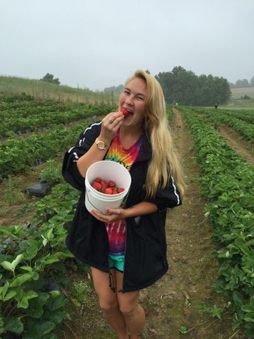 fresh strawberries