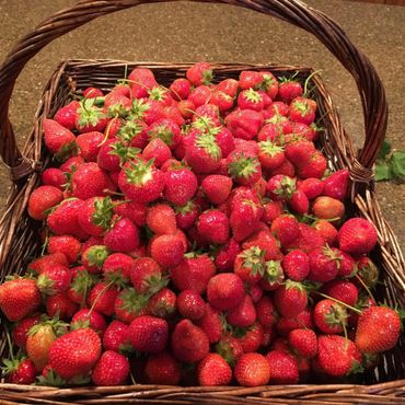 a basket of strawberries