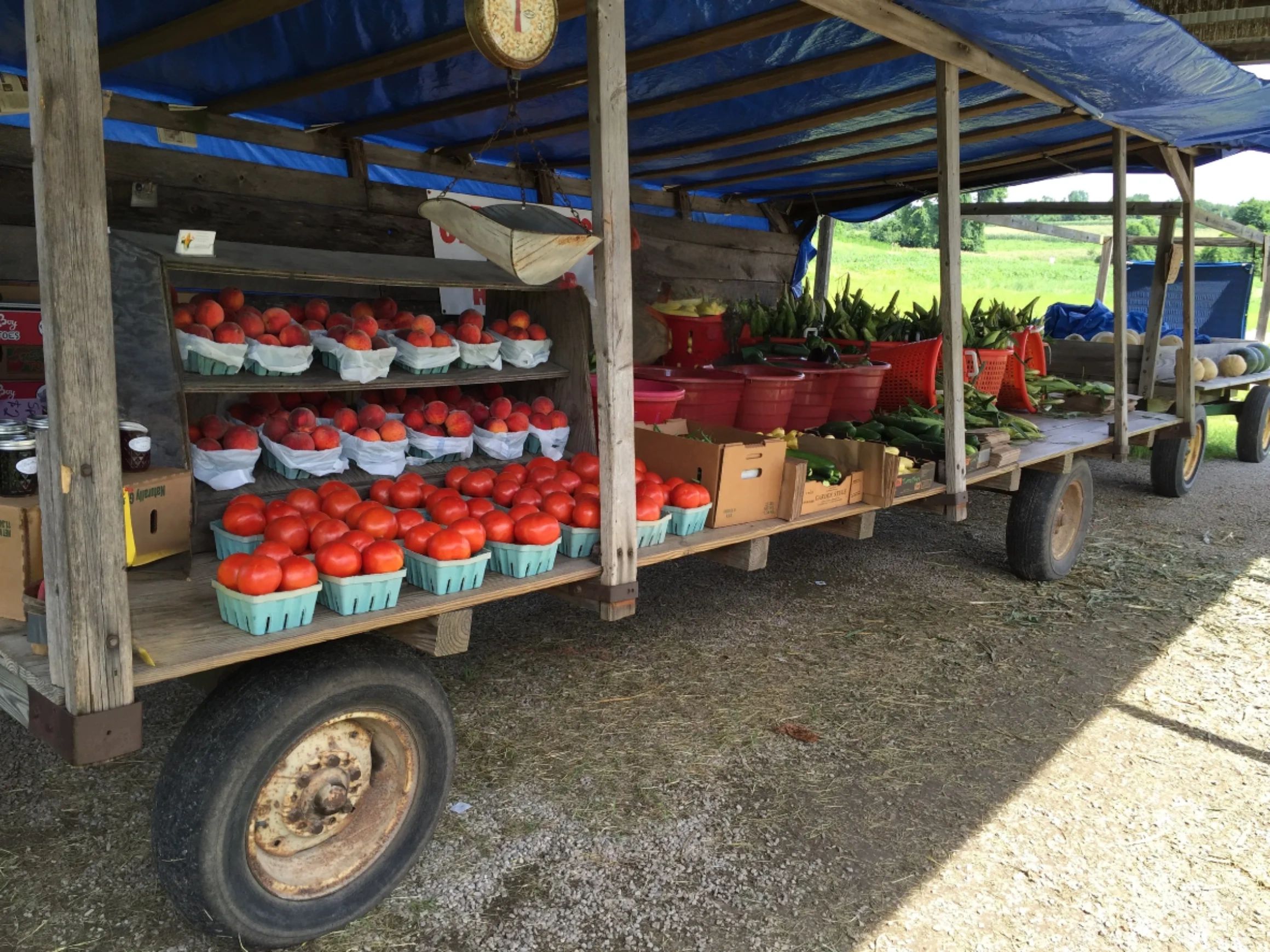 Chase's Produce - Fruits and Vegetables, Fresh Produce
