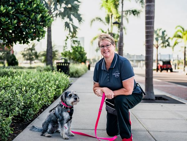 Dog trainer in Hillsborough County Florida
