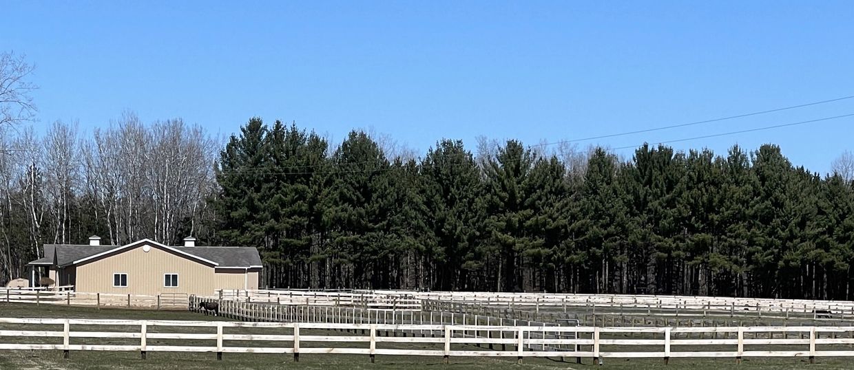 A scenic view of horse fences, with silhouettes of trees in the background.