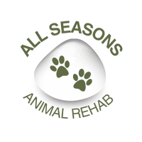 All Seasons Physiotherapy
