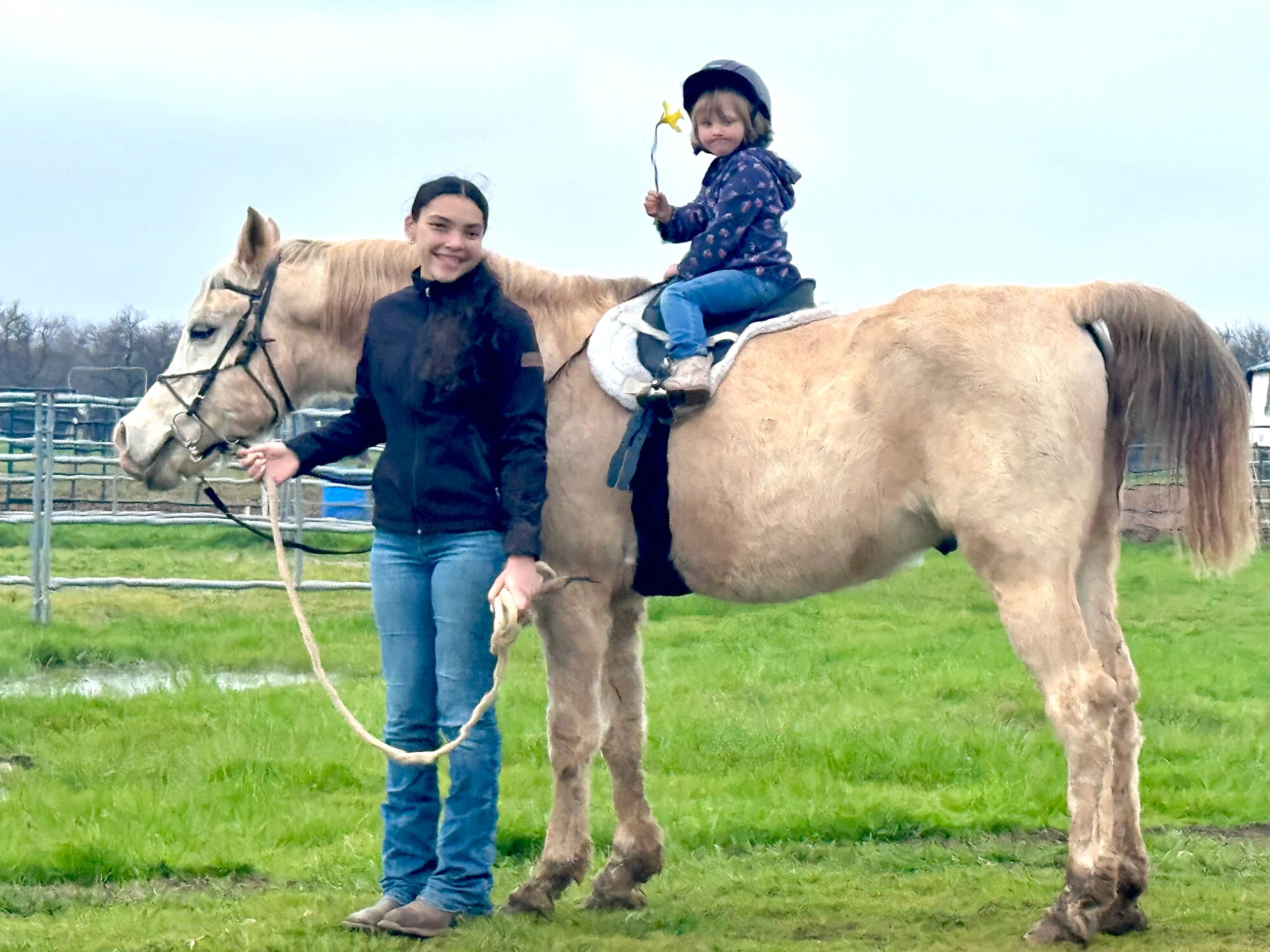 Freedom Riders Therapeutic Riding Program