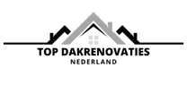 Top Dakrenovaties