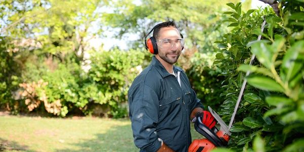 Landscaping contractor