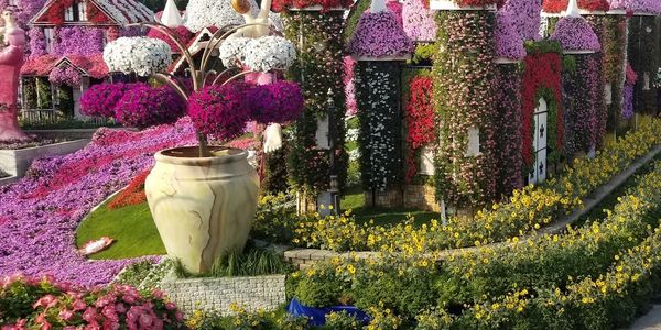 Top landscaping services in Dubai