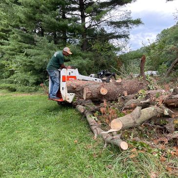 Tree Services both Big and Small 