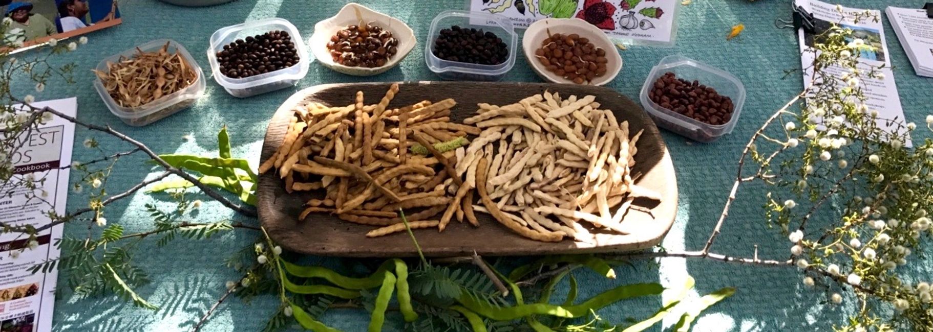 About Bean Tree Farm