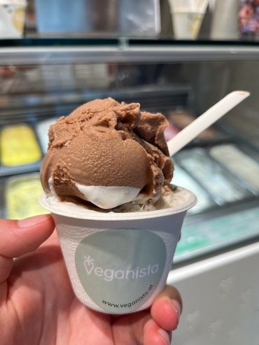 Healthier plant based ice cream from the Veganista in Vienna, Austria. 