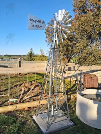 Miniature windmill with birthday sign outdoors.