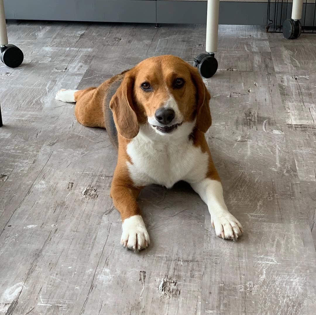 Medium Bath (1650 lbs)