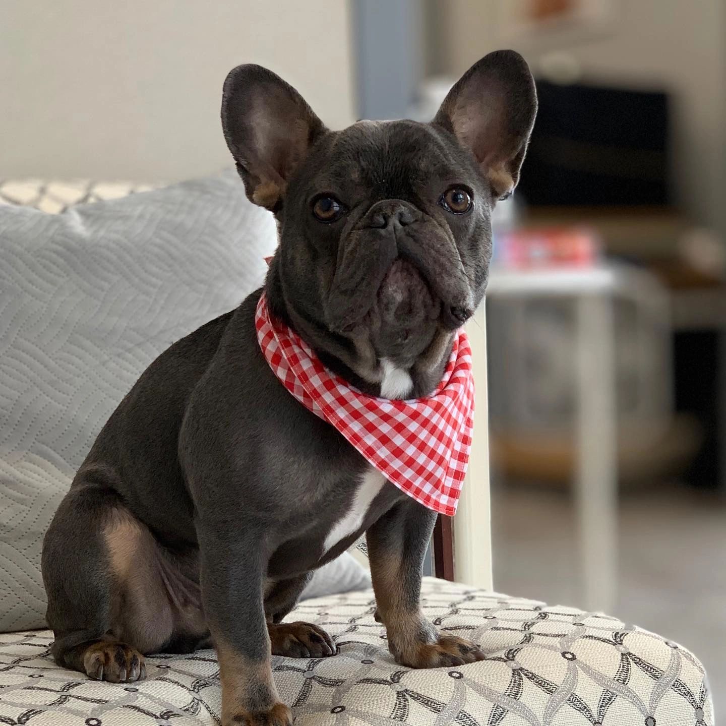 small-bath-under-15-lbs