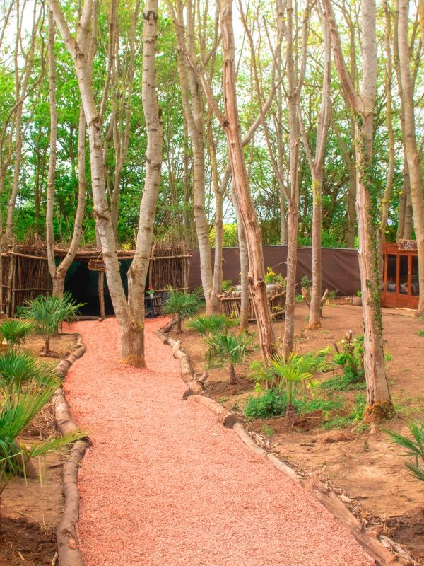 Path through a wooded area with small plants and wooden structures.