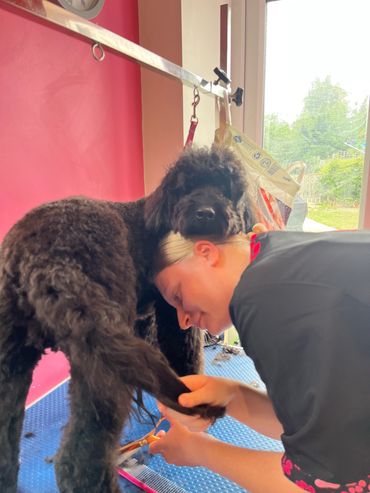 Charlie enjoying his groom with Jess