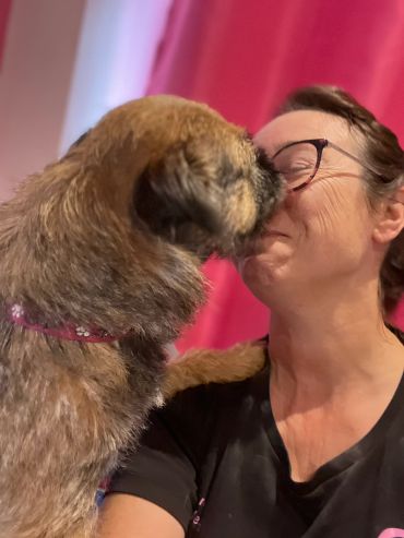 Monty the border terrier