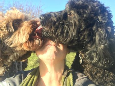 Cheeky pups