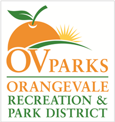 Camps And Clinics Top Notch Basketball