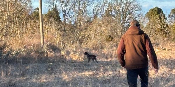 A person walks toward a dog in a dry, wooded field during daylight.