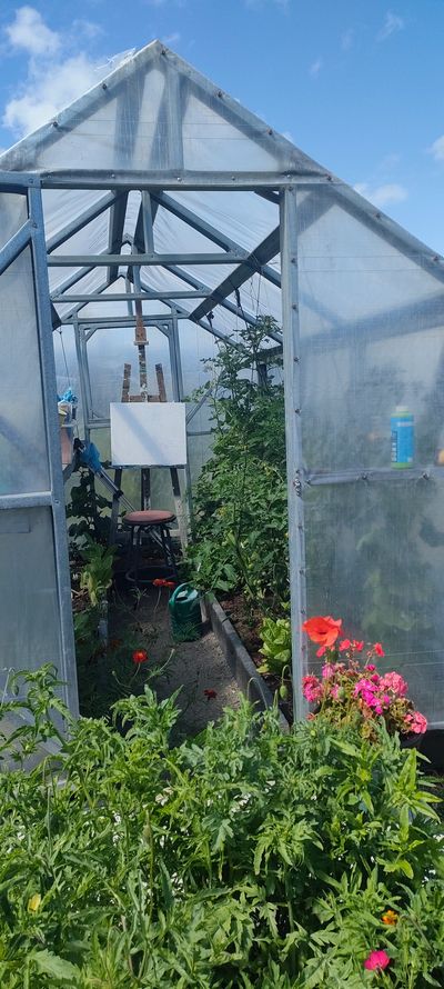 Hot house art studio