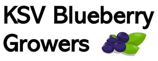 KSV BLUEBERRY GROWERS LTD