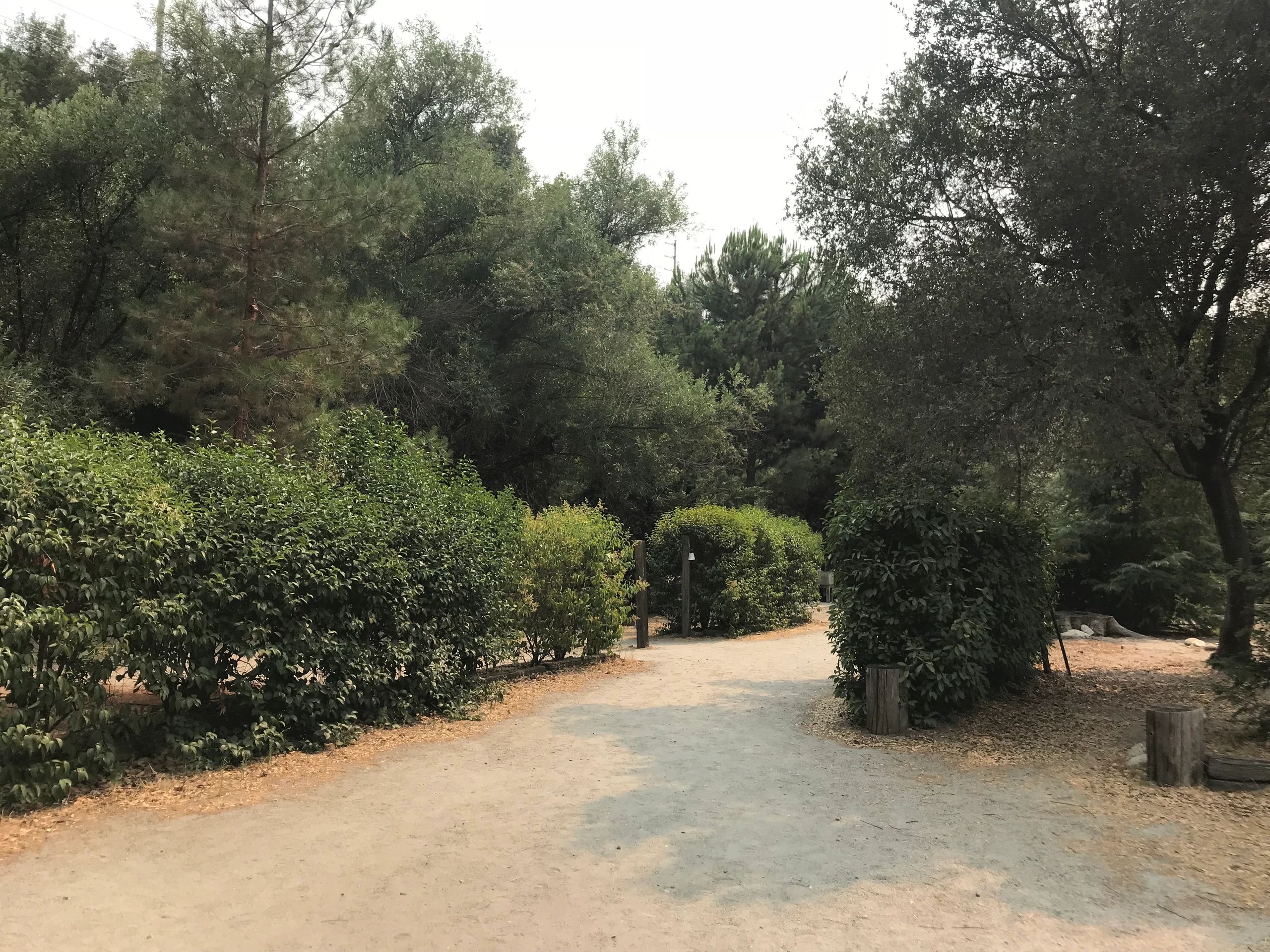 Kaweah Oaks Camp Ground