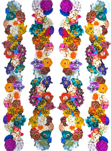 Four vertical columns of colorful, vibrant flowers on a white background.