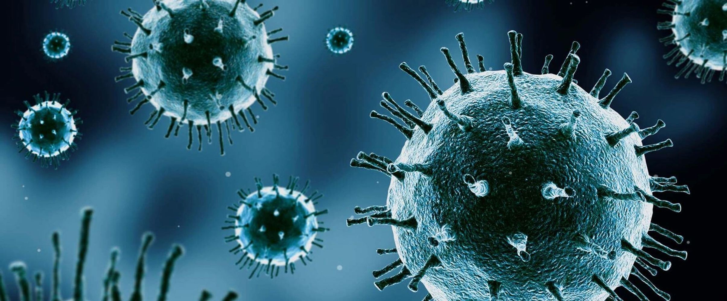 Missoula, Montana, Mold Testing, Indoor Air Quality Testing, Mold Removal, Air Sampling 