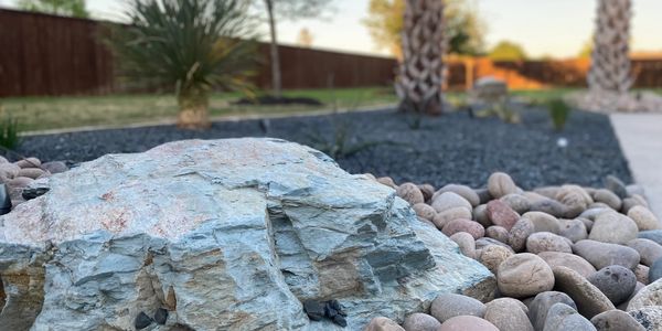 Custom landscape design with rocks, plants, and palm trees
