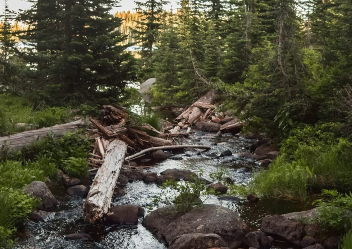 Clarity. Growth. Direction.