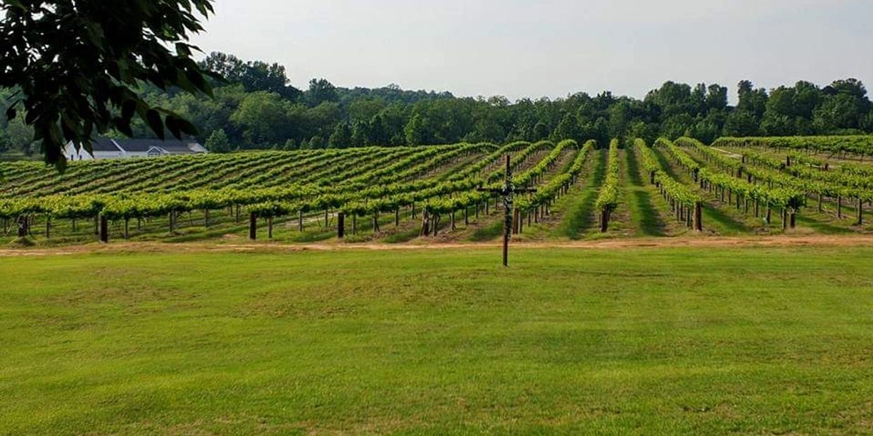 Three Star Vineyard and Orchard