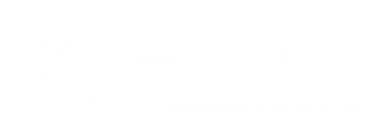 Evolv Services Numeriques