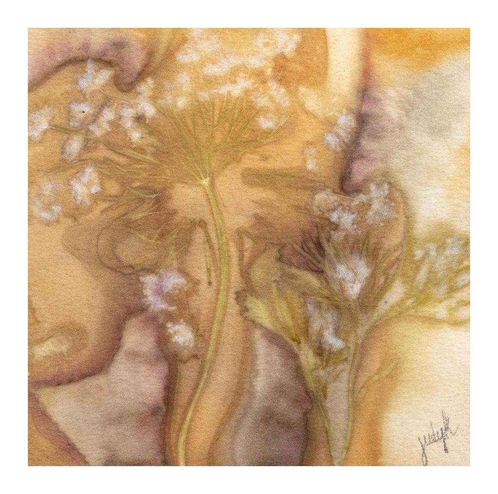 The pieces are named after the plant and acid source being used