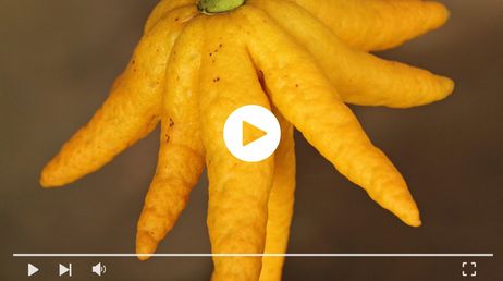 30 Second Bedtime Ritual Reduces Blood Sugar