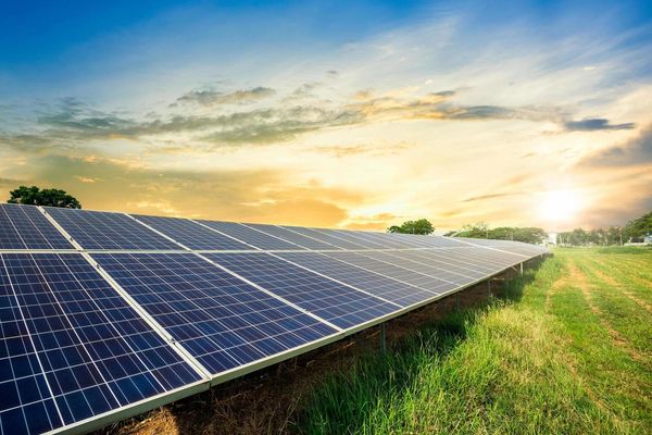 Solar panels capturing sunlight in a green field at sunrise.