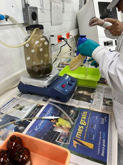 Scientific Insights, Trials & Collaborations with ShiLai™ Methane-Reducing Feed