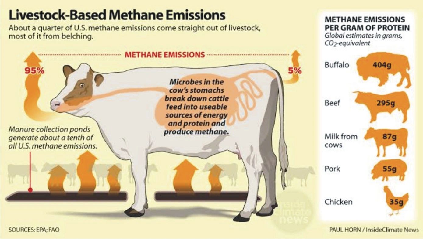 meat-consumption-by-countries-mappr