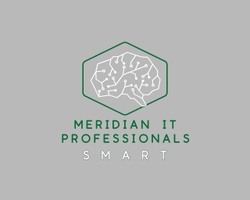 Meridian IT Professionals