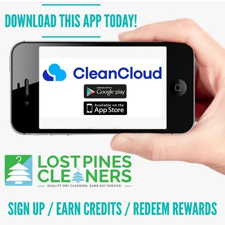 Lost Pines Cleaners photo 3