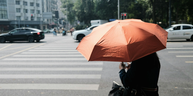 Hands holding paper cutouts of a family and umbrella symbolizing protection.