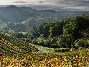 Domaine Laurens chez Calice au Québec