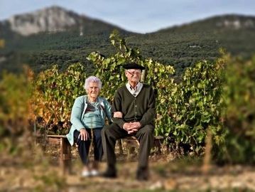 Bello Berganzo Rioja au Québec chez Calice