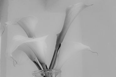 image13