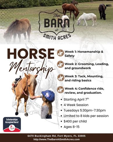 Horse mentorship class at smith acres