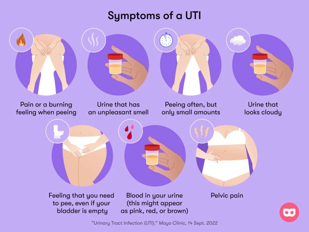 Chart of symptoms of a UTI